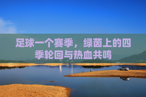 足球一个赛季,绿茵上的四季轮回与热血共鸣