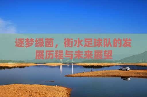 逐梦绿茵,衡水足球队的发展历程与未来展望