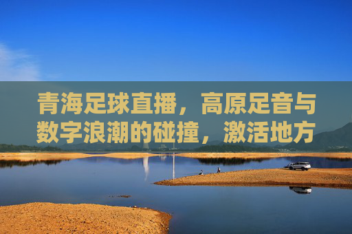 青海足球直播,高原足音与数字浪潮的碰撞,激活地方足球新活力