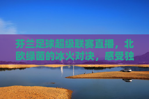 芬兰足球超级联赛直播,北欧绿茵的冰火对决,感受独特足球文化魅力