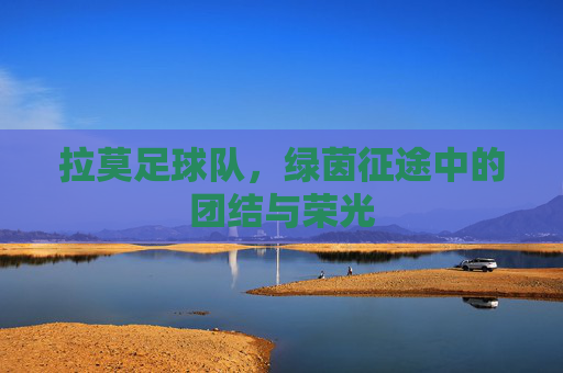 拉莫足球队,绿茵征途中的团结与荣光