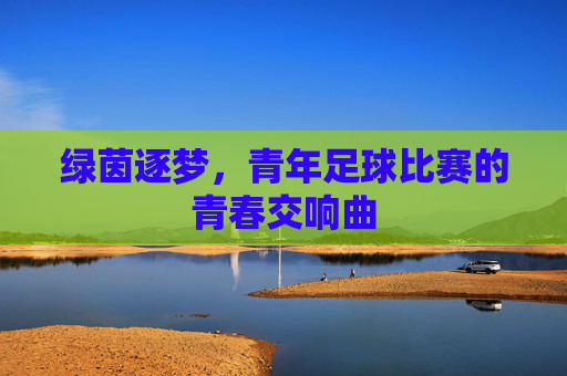 绿茵逐梦，青年足球比赛的青春交响曲