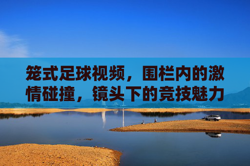 笼式足球视频,围栏内的激情碰撞,镜头下的竞技魅力,笼式足球,围栏内的激情碰撞与竞技魅力