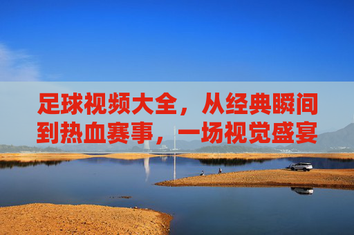 足球视频大全,从经典瞬间到热血赛事,一场视觉盛宴的全面指南