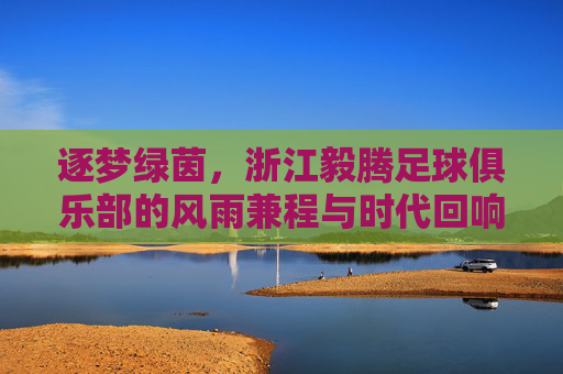 逐梦绿茵，浙江毅腾足球俱乐部的风雨兼程与时代回响，逐梦绿茵，浙江毅腾足球俱乐部的风雨兼程与时代回响