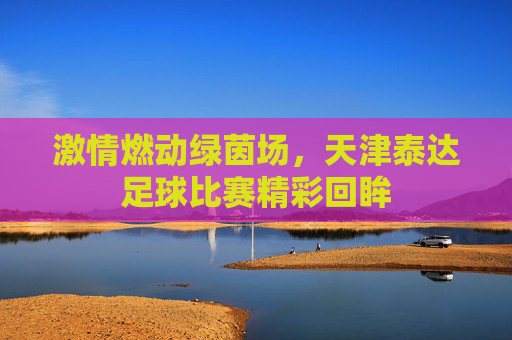 激情燃动绿茵场，天津泰达足球比赛精彩回眸