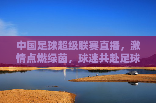 中国足球超级联赛直播,激情点燃绿茵,球迷共赴足球盛宴