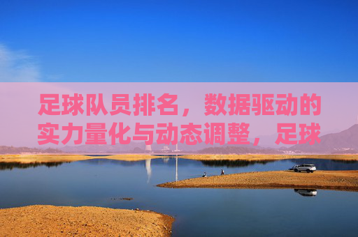 足球队员排名，数据驱动的实力量化与动态调整，足球队员排名，数据驱动的实力量化与动态调整