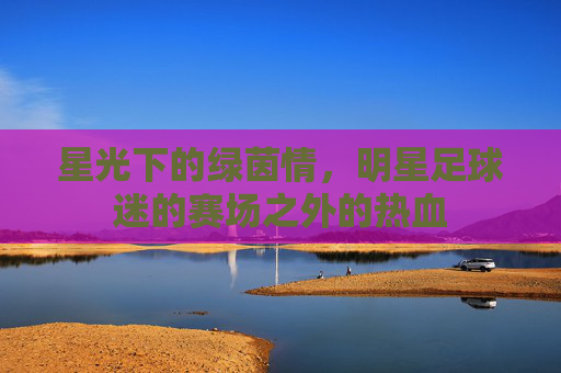 星光下的绿茵情，明星足球迷的赛场之外的热血