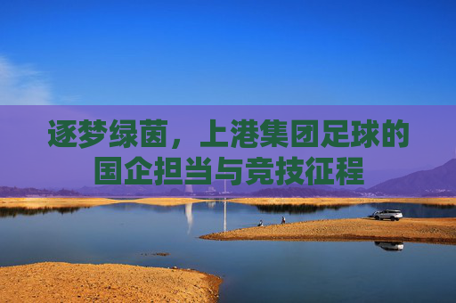 逐梦绿茵,上港集团足球的国企担当与竞技征程