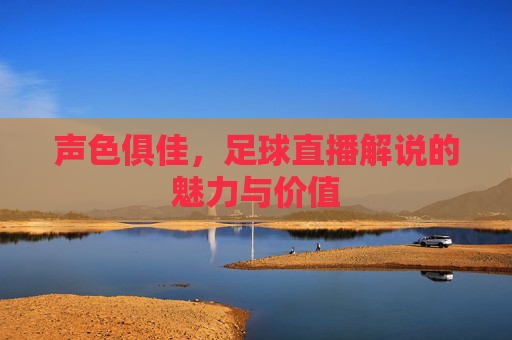声色俱佳,足球直播解说的魅力与价值