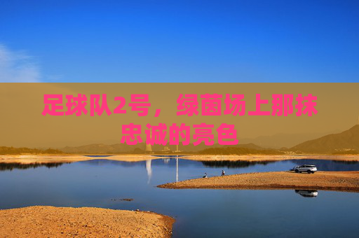 足球队2号，绿茵场上那抹忠诚的亮色