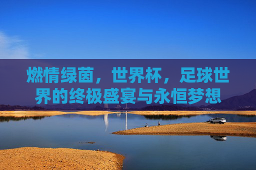 燃情绿茵，世界杯，足球世界的终极盛宴与永恒梦想