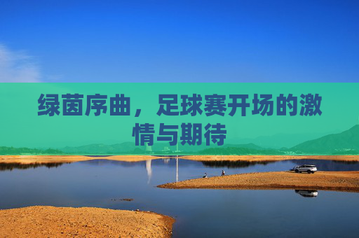 绿茵序曲,足球赛开场的激情与期待