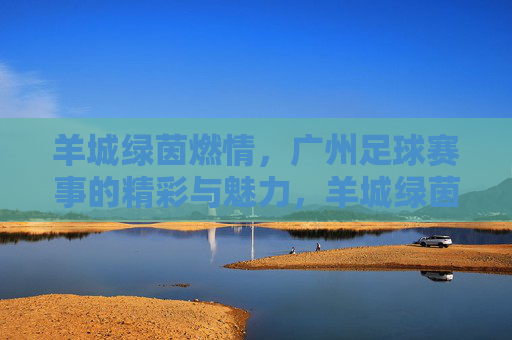 羊城绿茵燃情,广州足球赛事的精彩与魅力,羊城绿茵燃情,广州足球赛事的精彩与魅力