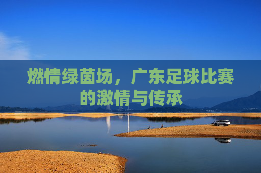 燃情绿茵场,广东足球比赛的激情与传承