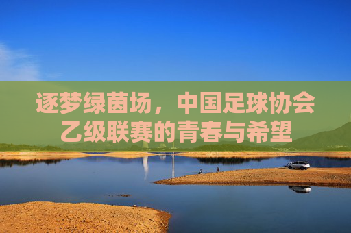 逐梦绿茵场,中国足球协会乙级联赛的青春与希望