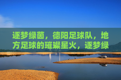逐梦绿茵，德阳足球队，地方足球的璀璨星火，逐梦绿茵，德阳足球队，地方足球的璀璨星火