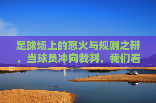足球场上的怒火与规则之辩，当球员冲向裁判，我们看到了什么？