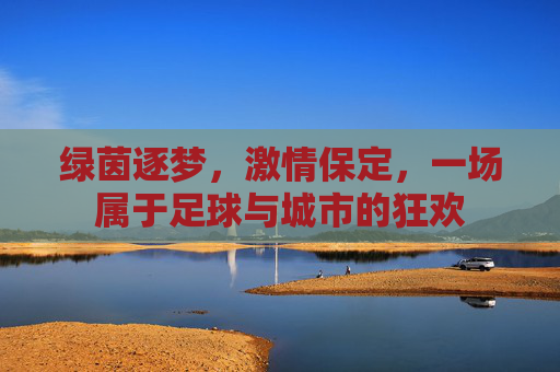 绿茵逐梦,激情保定,一场属于足球与城市的狂欢