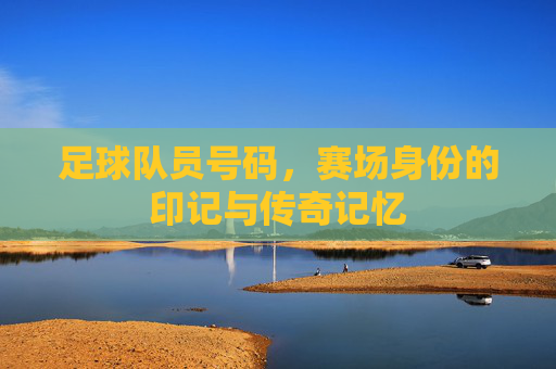 足球队员号码，赛场身份的印记与传奇记忆