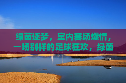 绿茵逐梦，室内赛场燃情，一场别样的足球狂欢，绿茵逐梦，室内赛场燃情，一场别样的足球狂欢