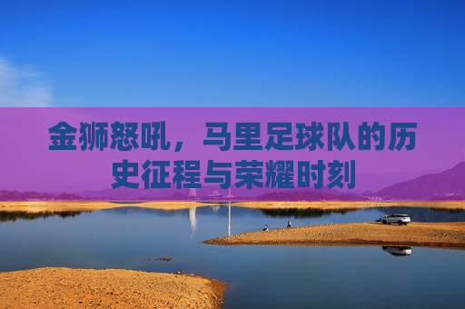 金狮怒吼,马里足球队的历史征程与荣耀时刻