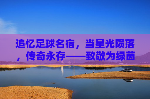 追忆足球名宿，当星光陨落，传奇永存——致敬为绿茵场献身的足球巨人，追忆足球名宿，当星光陨落，传奇永存——致敬为绿茵场献身的足球巨人