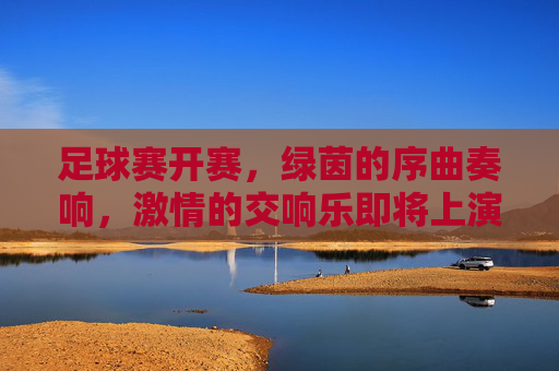 足球赛开赛,绿茵的序曲奏响,激情的交响乐即将上演,足球赛开赛,绿茵的序曲奏响,激情的交响乐即将上演