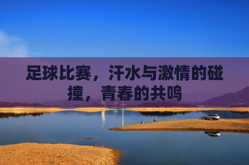 足球比赛,汗水与激情的碰撞,青春的共鸣