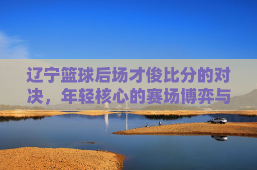 辽宁篮球后场才俊比分的对决，年轻核心的赛场博弈与战术深度解析，辽宁篮球后场才俊比分的对决，年轻核心的赛场博弈与战术深度解析
