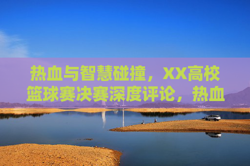 热血与智慧碰撞，XX高校篮球赛决赛深度评论，热血与智慧碰撞，XX高校篮球赛决赛深度评论