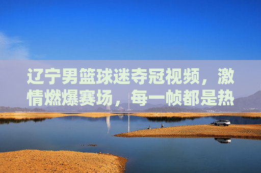 辽宁男篮球迷夺冠视频,激情燃爆赛场,每一帧都是热血的注脚,辽宁男篮球迷夺冠视频,激情燃爆赛场,每一帧都是热血的注脚