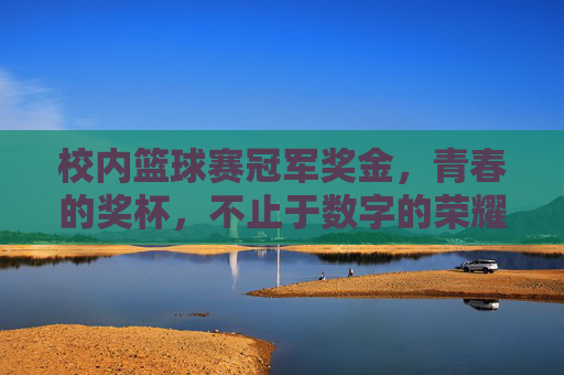 校内篮球赛冠军奖金，青春的奖杯，不止于数字的荣耀，校内篮球赛冠军奖金，青春的奖杯，不止于数字的荣耀