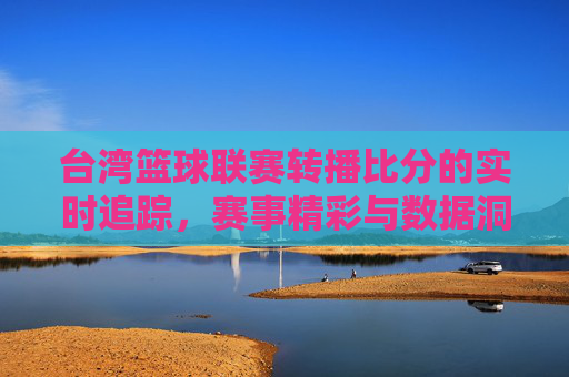 台湾篮球联赛转播比分的实时追踪，赛事精彩与数据洞察，台湾篮球联赛实时比分追踪，赛事精彩与数据洞察