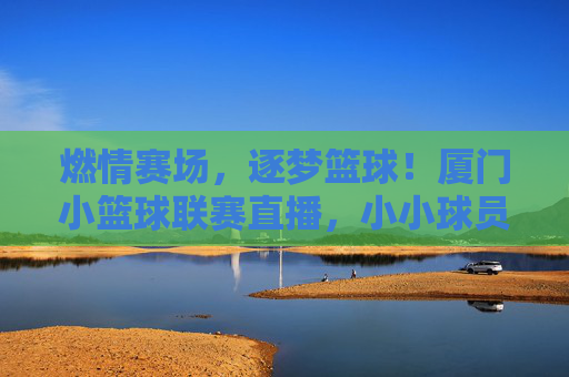燃情赛场，逐梦篮球！厦门小篮球联赛直播，小小球员的青春活力与拼搏精神闪耀荧屏，燃情赛场，逐梦篮球！厦门小篮球联赛直播，小小球员的青春活力与拼搏精神闪耀荧屏