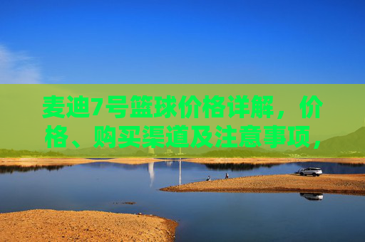 麦迪7号篮球价格详解，价格、购买渠道及注意事项，麦迪7号篮球价格详解，价格、购买渠道及注意事项