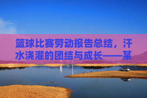 篮球比赛劳动报告总结，汗水浇灌的团结与成长——某次校园篮球比赛劳动实践回顾，篮球比赛劳动报告总结，汗水浇灌的团结与成长——某次校园篮球比赛劳动实践回顾