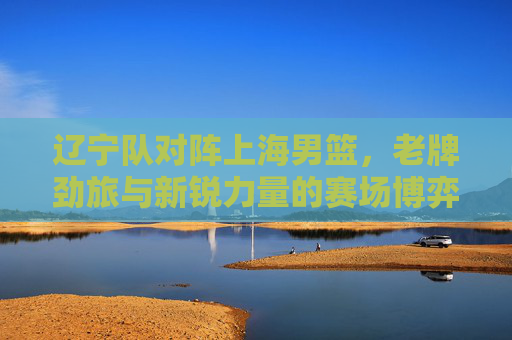 辽宁队对阵上海男篮,老牌劲旅与新锐力量的赛场博弈,辽宁队对阵上海男篮,老牌劲旅与新锐力量的赛场博弈