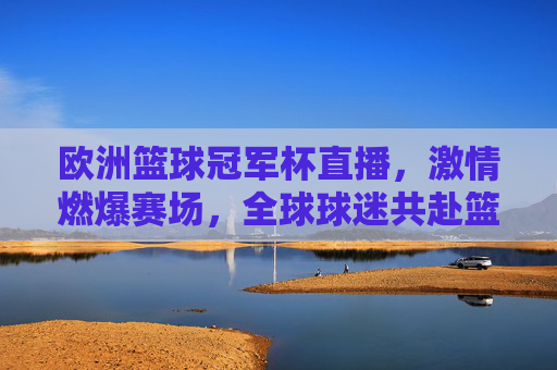 欧洲篮球冠军杯直播,激情燃爆赛场,全球球迷共赴篮球盛宴