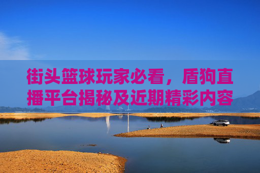 街头篮球玩家必看，盾狗直播平台揭秘及近期精彩内容分享