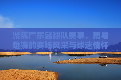 聚焦广东篮球队赛事，南粤雄狮的赛场风采与球迷情怀