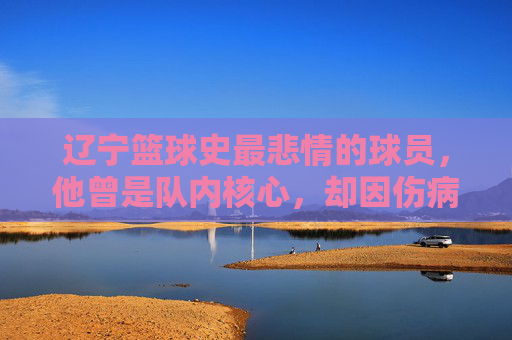 辽宁篮球史最悲情的球员，他曾是队内核心，却因伤病与争议黯然离队，留下无尽遗憾