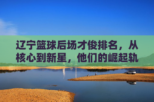 辽宁篮球后场才俊排名,从核心到新星,他们的崛起轨迹与未来展望