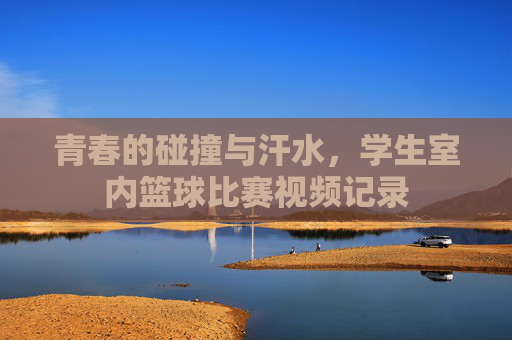 青春的碰撞与汗水,学生室内篮球比赛视频记录