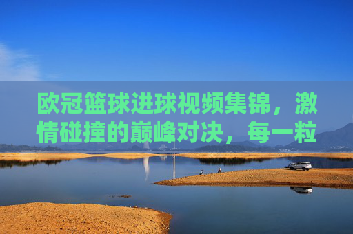欧冠篮球进球视频集锦,激情碰撞的巅峰对决,每一粒进球都是传奇