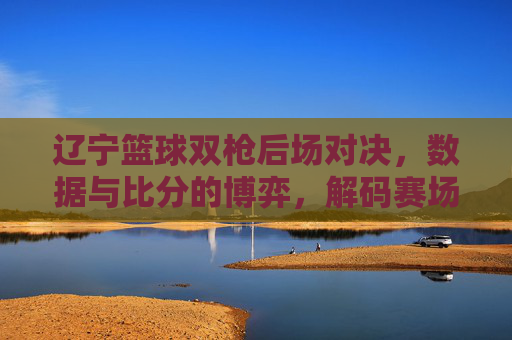 辽宁篮球双枪后场对决,数据与比分的博弈,解码赛场胜负密码