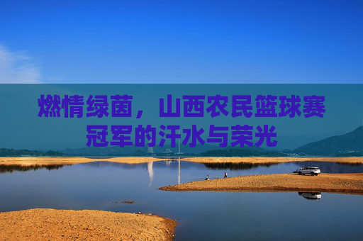 燃情绿茵,山西农民篮球赛冠军的汗水与荣光