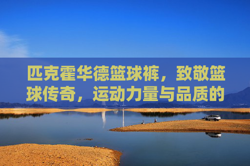 匹克霍华德篮球裤，致敬篮球传奇，运动力量与品质的匠心体现
