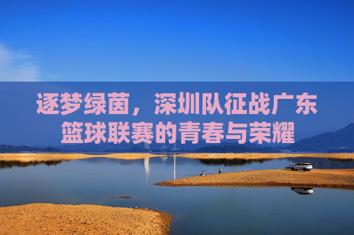 逐梦绿茵，深圳队征战广东篮球联赛的青春与荣耀
